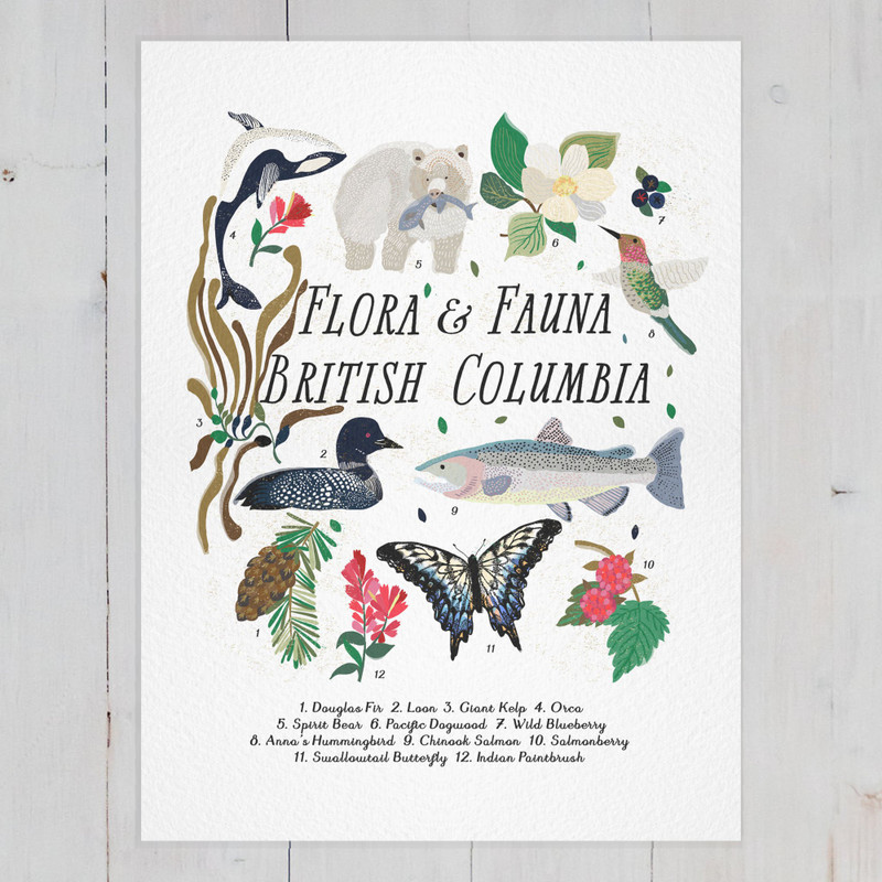 Flora and Fauna Print