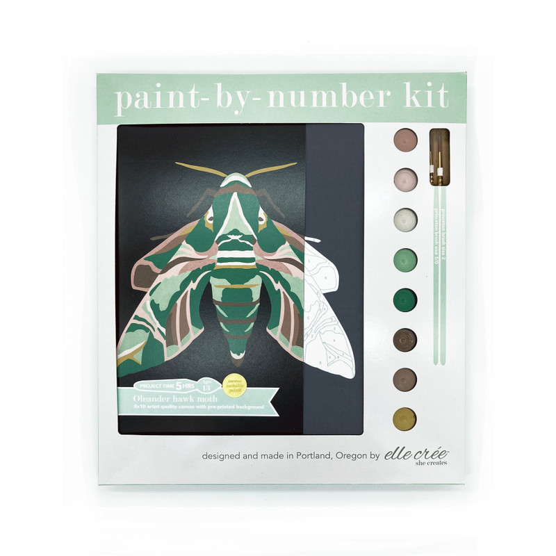 Oleander Hawk Moth Paint by Number Kit
