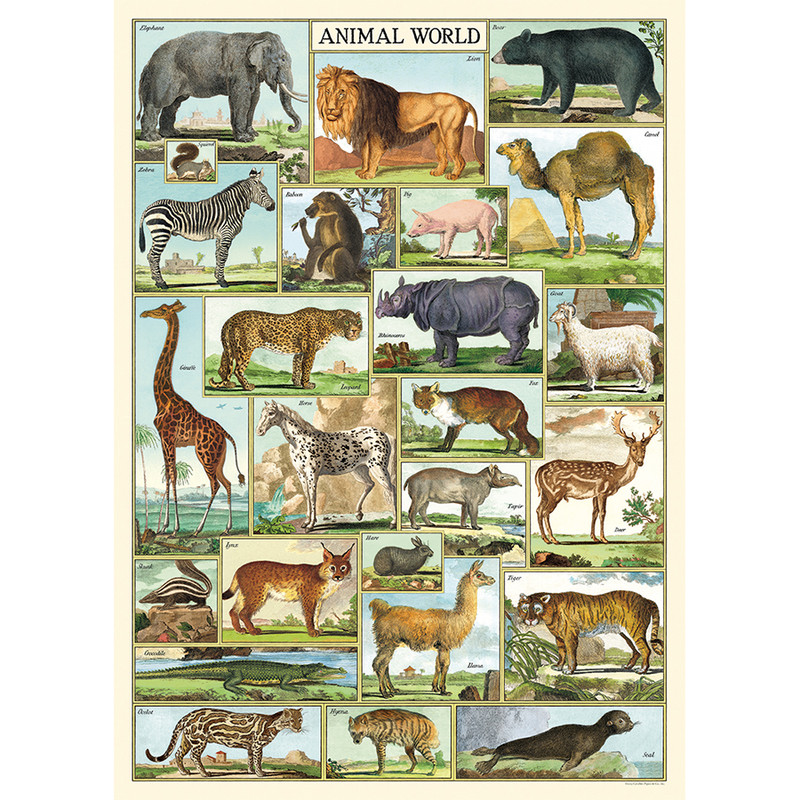 Animal World Cavallini Posters