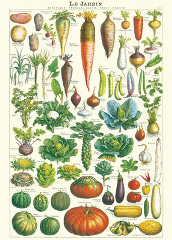 Le Jardin Cavallini Posters