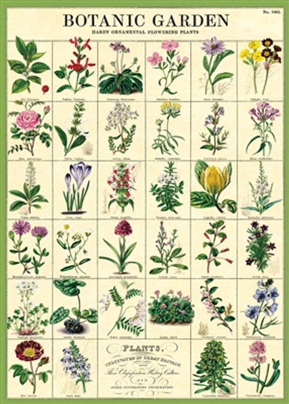 Botanic Garden Squares Cavallini Posters