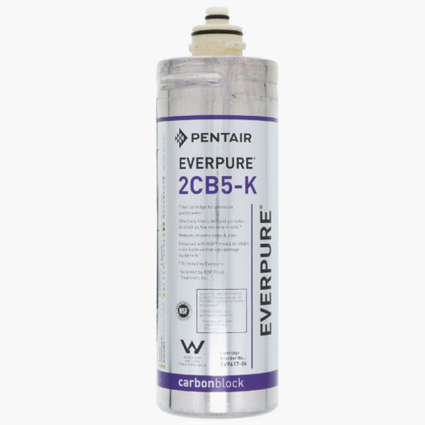 Everpure 5 Micron EV9617-06 Water Filter Cartridge