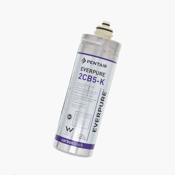 Everpure 5 Micron EV9617-06 Water Filter Cartridge