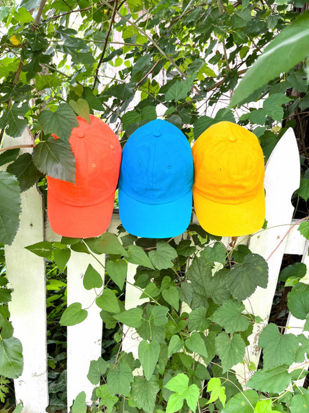 Lisi Lerch Sample Sale -  Baseball Hats - Final Sale  