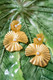 Lisi Lerch Lilly Pad Double Stud Earring 
