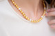 Lisi Lerch Diana Single Strand Freshwater Pearl & Gold Bead 8mm 