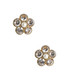 Lisi Lerch La Fleur - Rhinestone Cluster Stud - Amy Littleson Collection -  