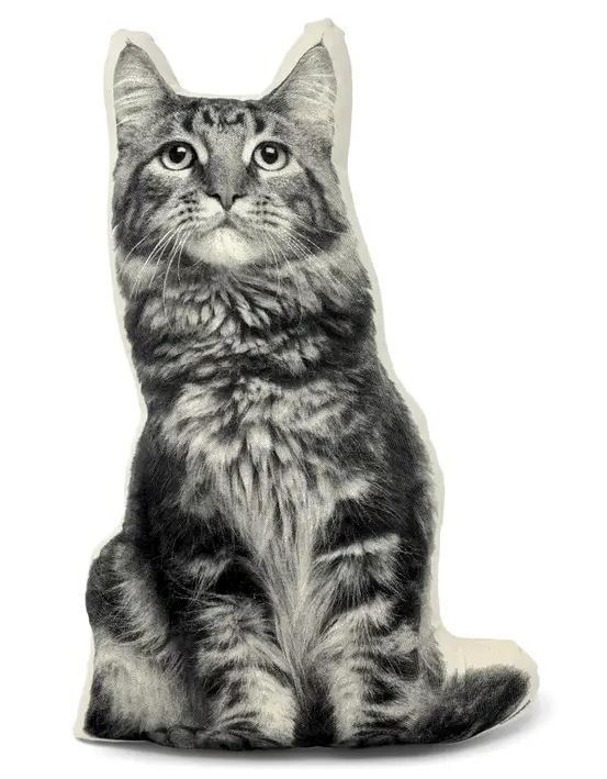 Long Hair Cat Pillow