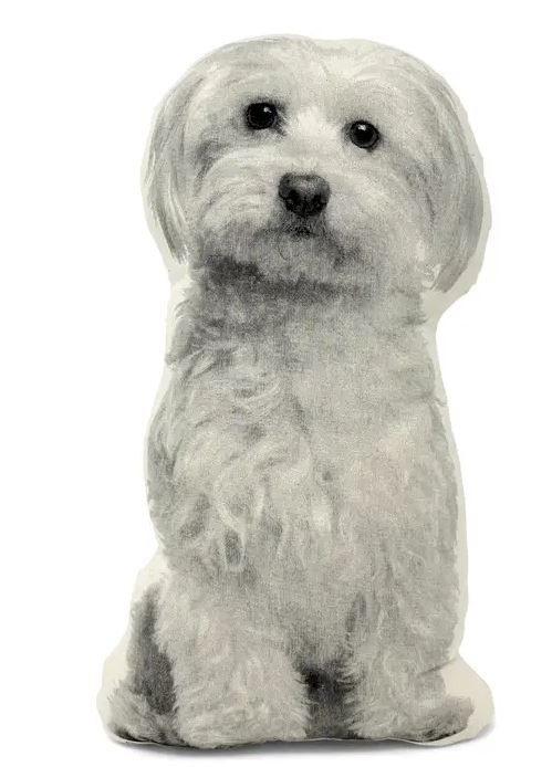 Maltese Pillow
