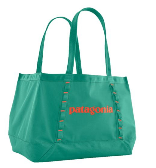 Patagonia Black Hole Tote 25L