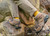 Keen Men's Targhee II Mid Water Proof Boot: Shitake/ Brindle Keen Men's Targhee II Mid Water Proof Boot: Shitake/ Brindle