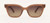 Taupe Gradient