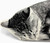 Sleeping Cat Pillow