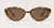 Brown Tort