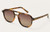 Brown Tort