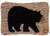 Black Bear