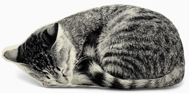 Sleeping Cat Pillow