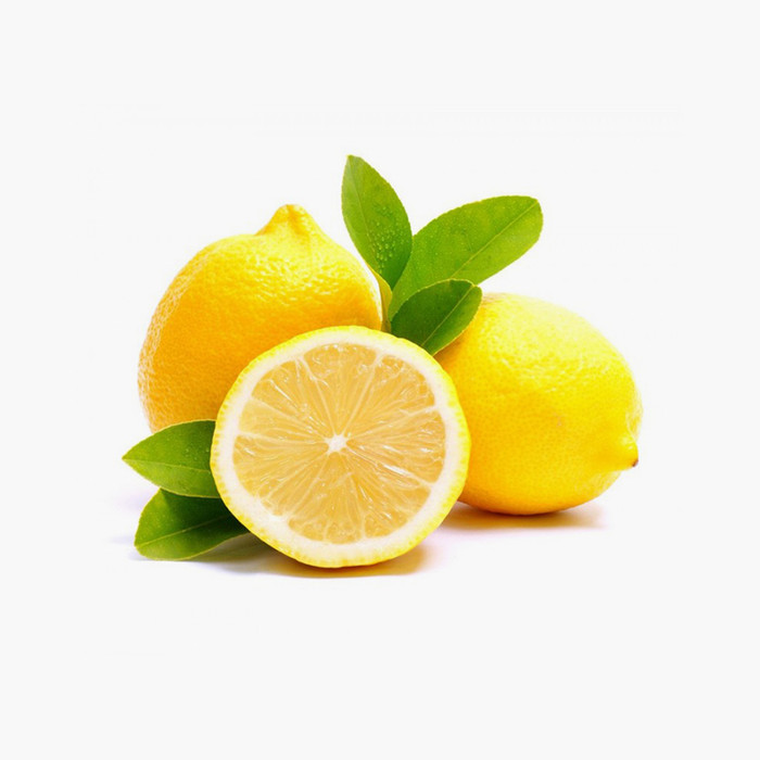 [Sample] Orbit Terrarium - Large