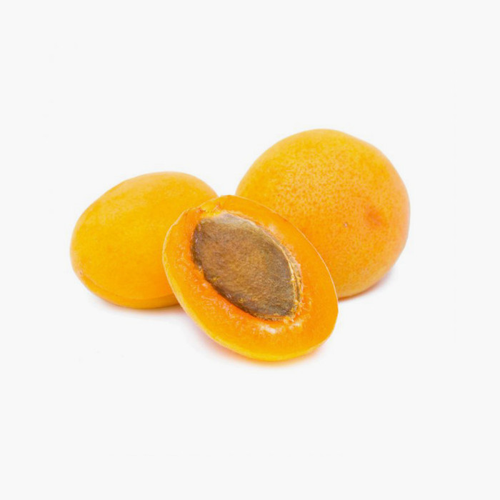 Sed efficitur tristique nisl