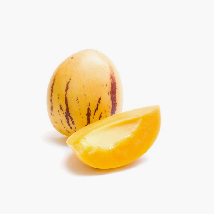 Etiam vehicula diam at diam venenatis bibendum