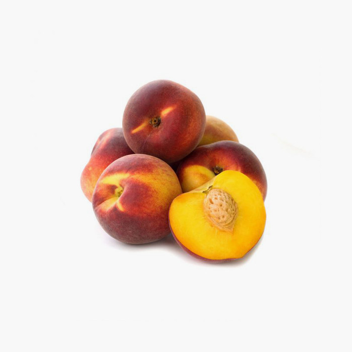 Etiam vehicula diam at diam venenatis bibendum