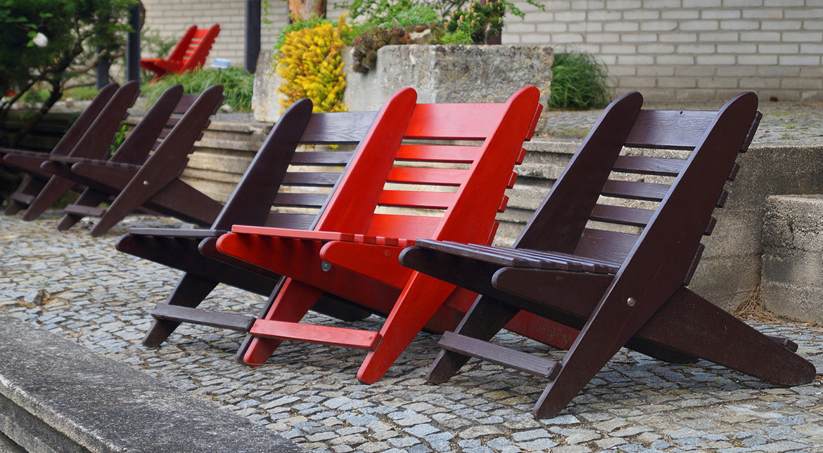 Proin sollicitudin condimentum