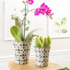 6 1/2" Flared Flower Pot in French Country
