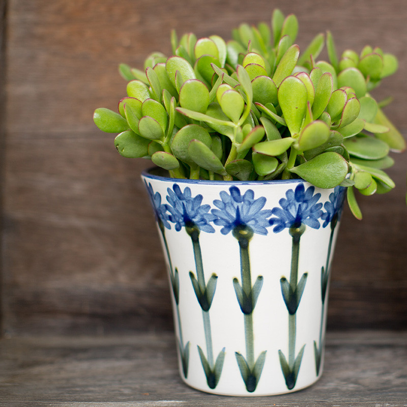 Large Bachelor Button Flower Pot | Cornflower Flower Pot