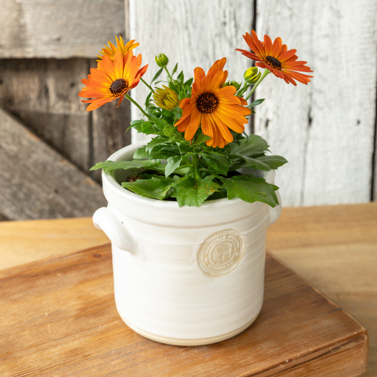 Louisville Pottery Collection Small Herb Crock Planter - Stoneware