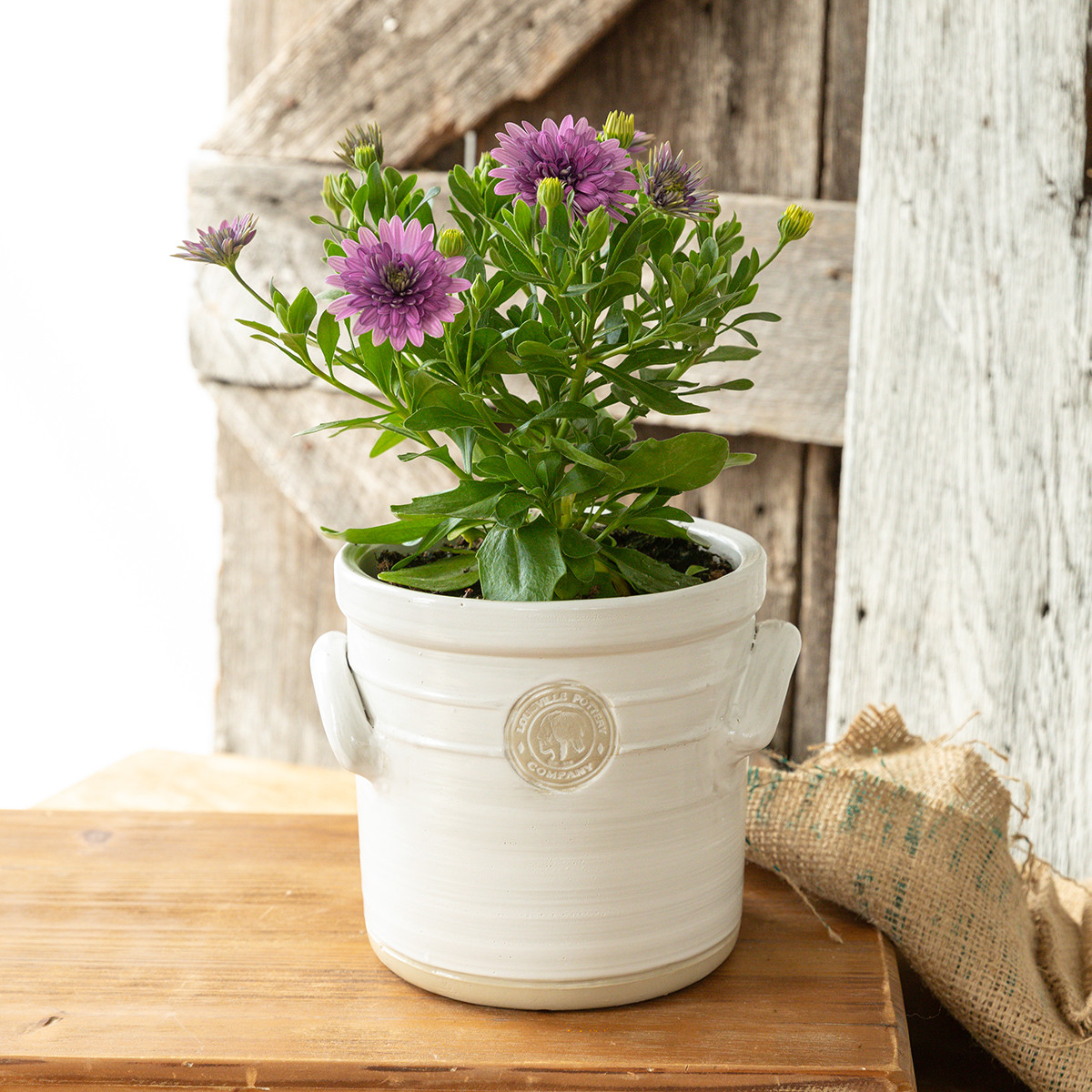 Louisville Pottery Collection Medium Herb Crock Planter
