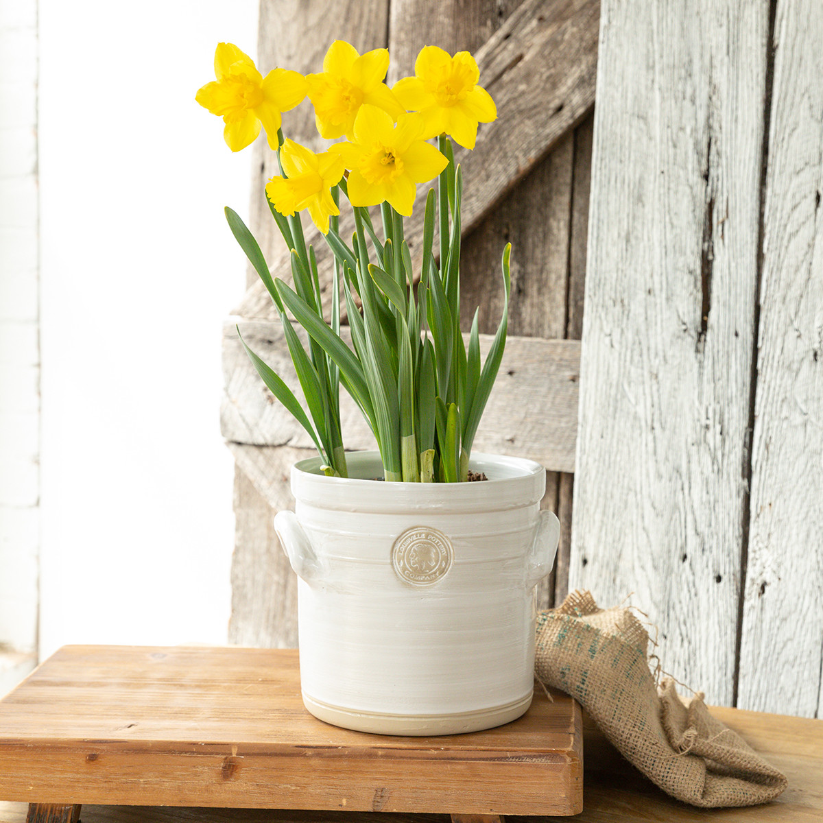 Louisville Pottery Collection Large Herb Crock Planter - Stoneware