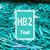 HB2 Struts in Teal - Legacy (100-pack)