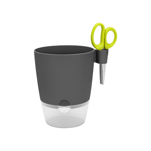 brussels herbs allin1 13cm - ANTHRACITE