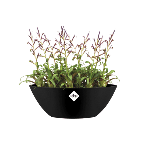 brussels oval 36cm - LIVING BLACK
