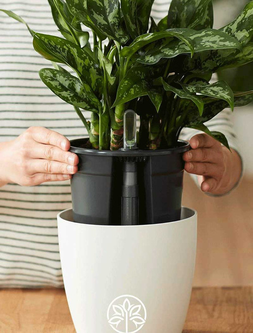 self-watering insert 21cm - LIVING BLACK