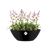 brussels oval 36cm - LIVING BLACK