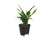 self-watering insert 44cm - LIVING BLACK