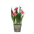 Fritillaria