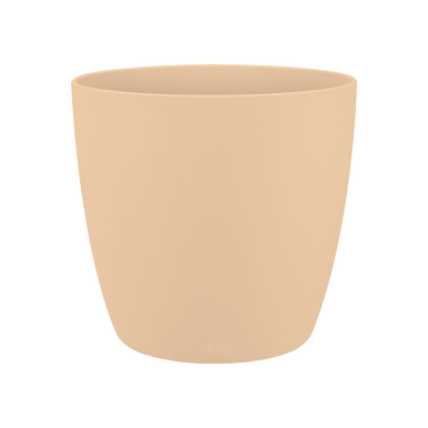 brussels round 18cm - NUDE - Al Fares Gardens - EN