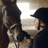 Preparing Your Horse for the Competition Season: 