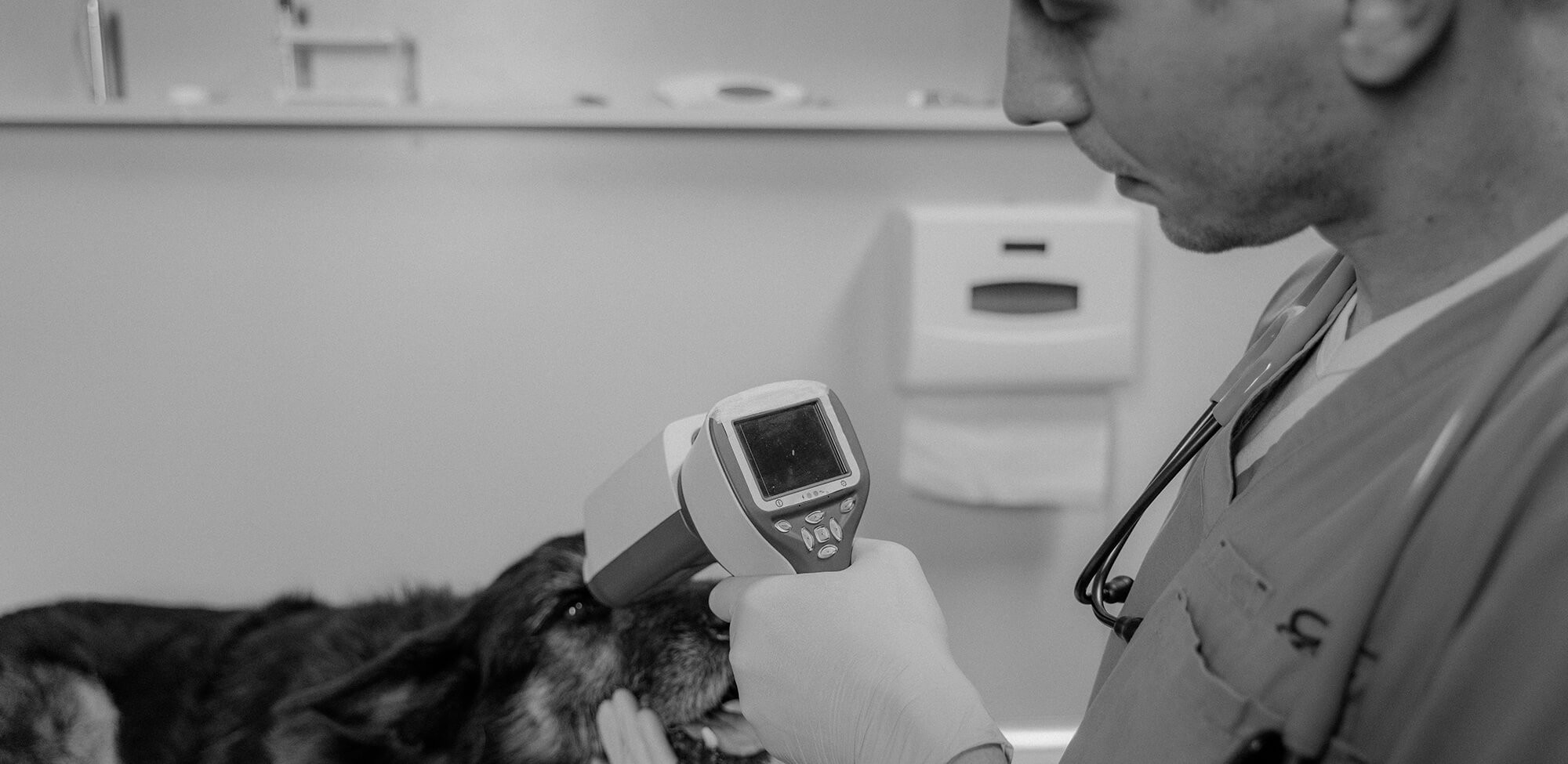 Vet Equipment, Spares and Bulbs Specialist Vet Supplies UK