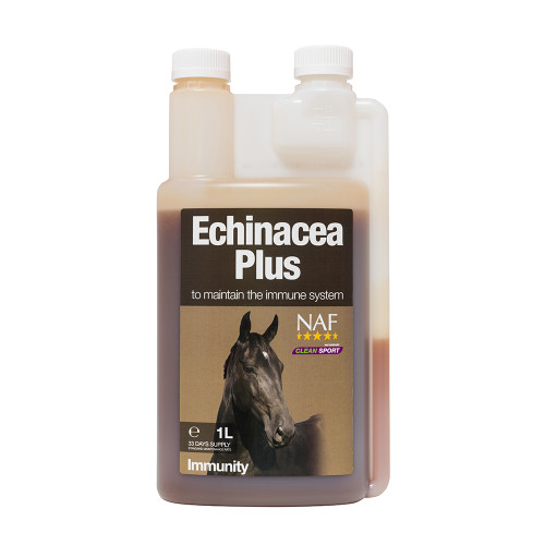 Echinacea Plus Immunity Supplement