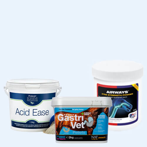Horse Supplements