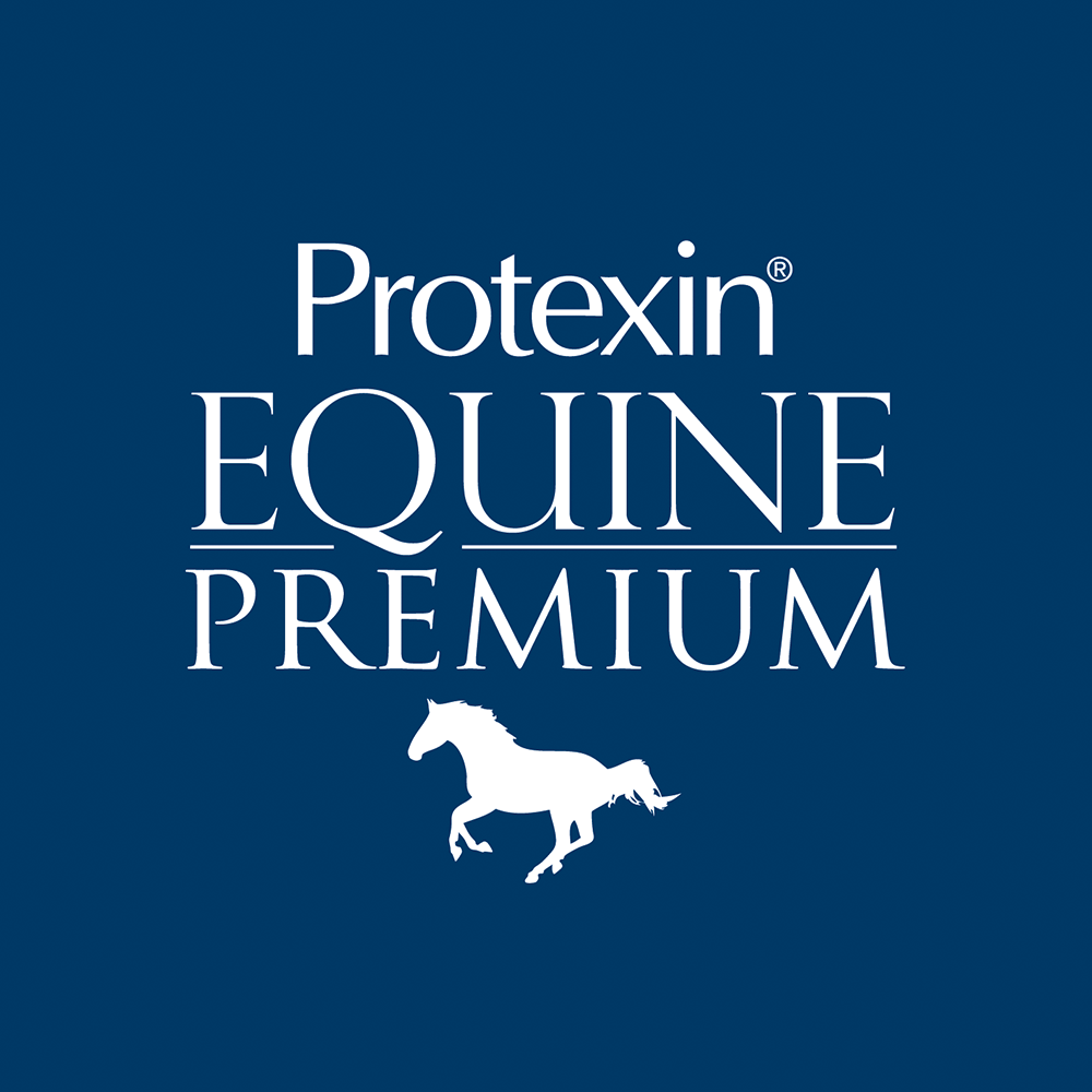 Protexin Gut Balancer Digestive Supplement | Vet Supplies UK