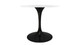 Tulip Fiberglass Dining Table , 36" Round Black Base