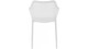 Indoor and Outdoor Dining Chair