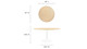 Tulip Wood Top Dining Table, 60" Round Natural