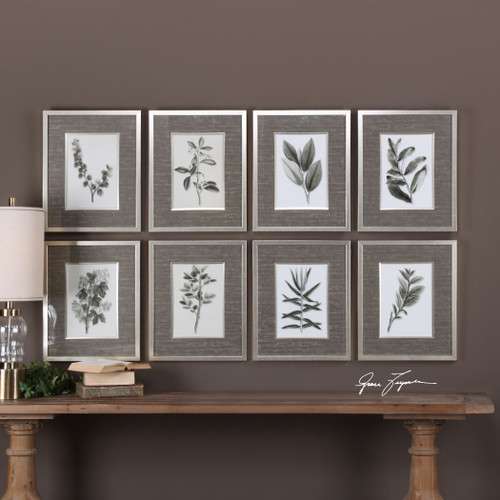 Uttermost Sepia Gray Leaves Prints S/8