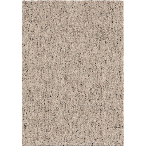 Multimix Contemporary 5x8 Area Rug in Beige/Black