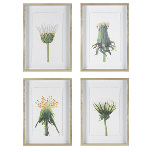 Brushed Gold Frame, Under Glass, White Backing, Deckled Edge Prints, Floral, Greens, Yellows, White, Orange, Traditional